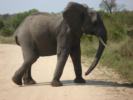 Zimbabwe