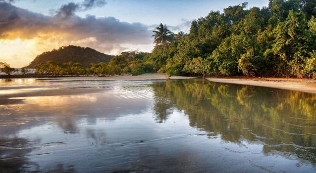 Cape Tribulation