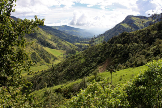 Valle de Cocora