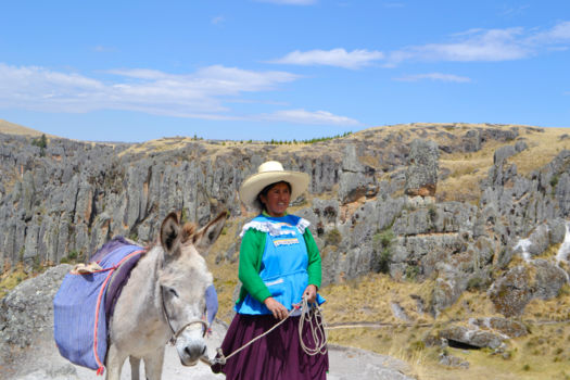 Cajamarca