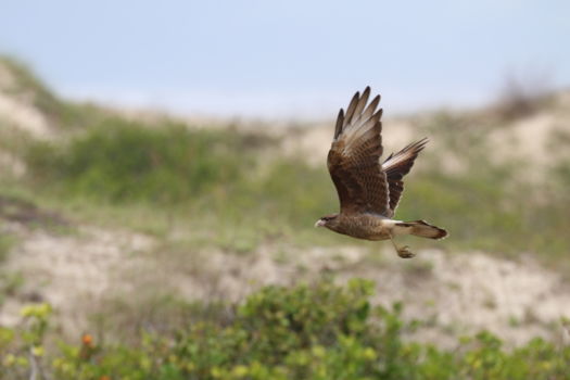 San Rafael National Park