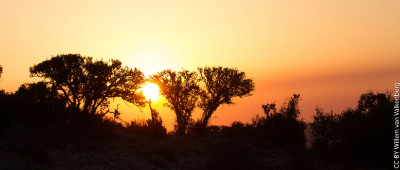 Oudtshoorn