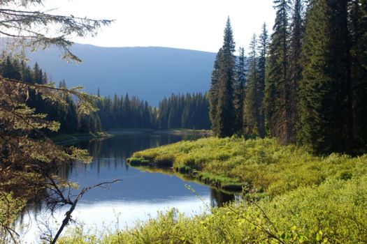 Wells Gray provincial park