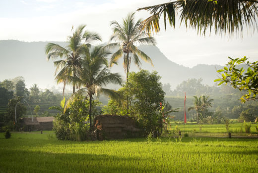 Rondreis Bali & Java