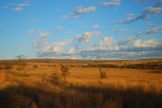 Welgevonden Game Reserve