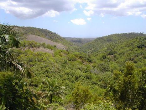 Las Terrazas
