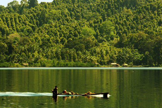 Sawai