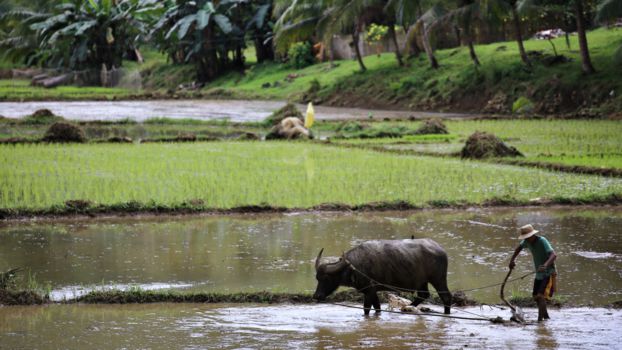 Pangas Falls, eindelijk een échte hidden gem