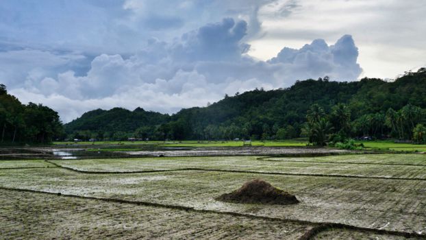 Pangas Falls, eindelijk een échte hidden gem