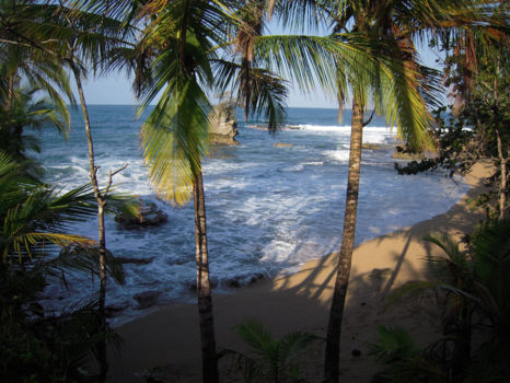Gandoca Manzanillo National Wildlife Refuge