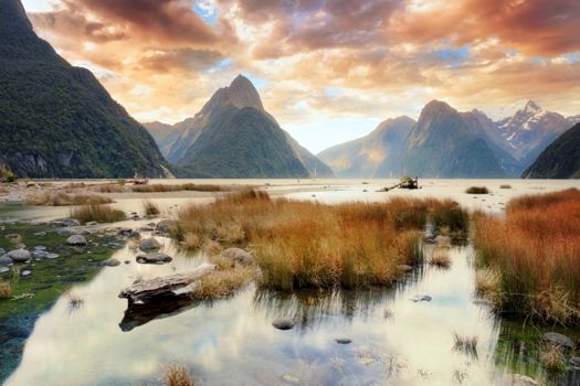 Milford Sound Highway