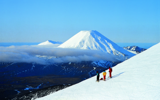 Rondreis Nieuw-Zeeland in zes weken