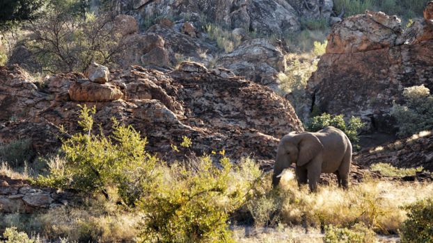 Mapungubwe National Park