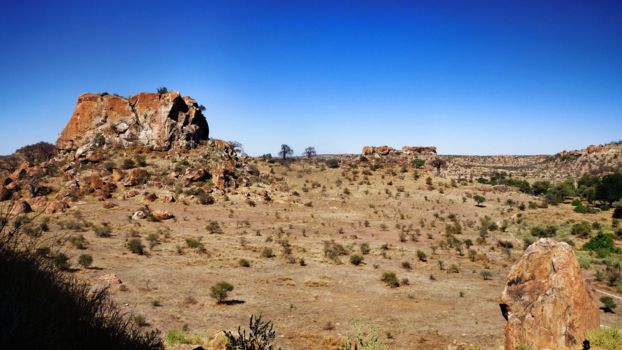 Mapungubwe National Park
