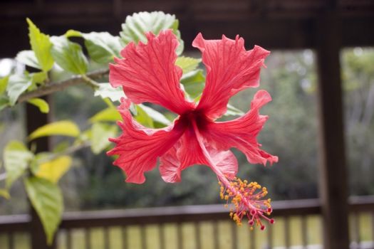 Rand Memorial Nature Center