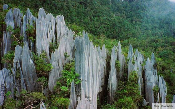 Rondreis Maleisië, Singapore & Brunei