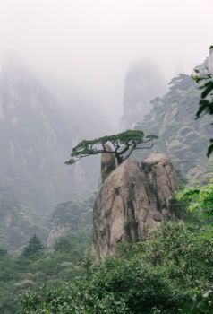 Tianmen Mountain Road