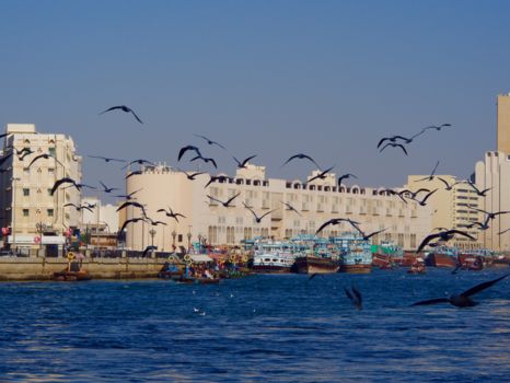Dubai Museum