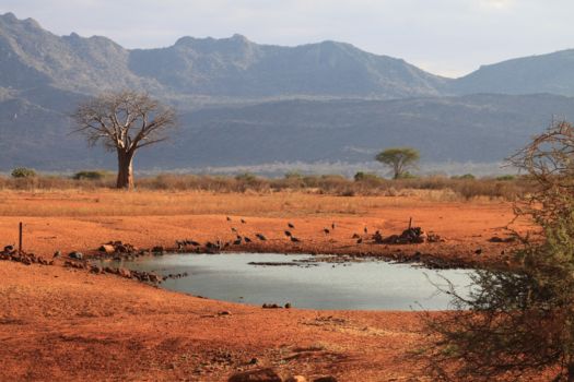 Tsavo West National Park