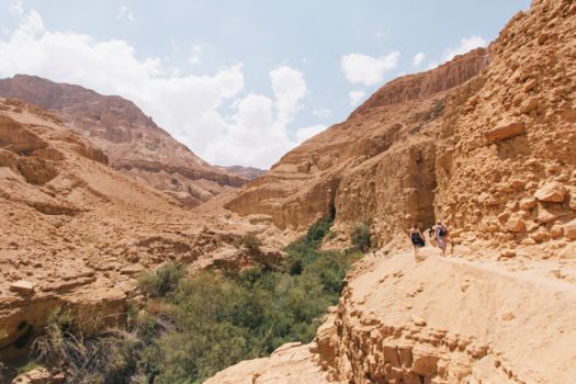 Ein Gedi Natuurpark