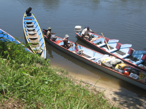 Rondreis Palumeu en Awarradam