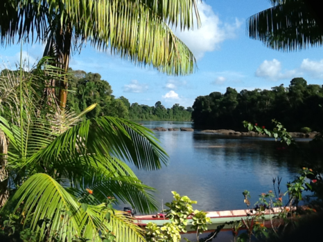 Rondreis regenwoud Suriname
