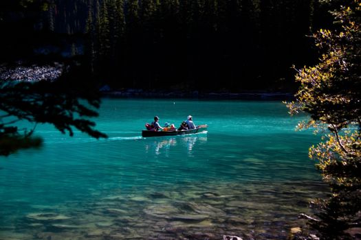 Rondreis Alberta