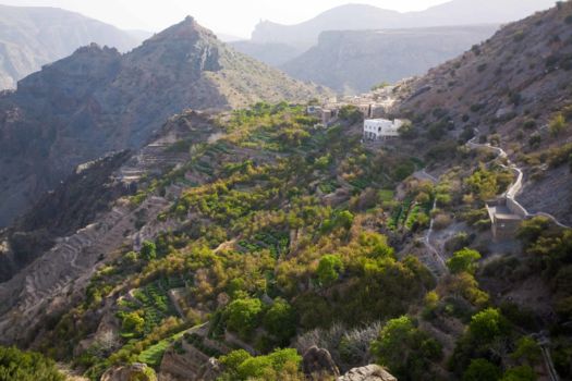 Jebel Akhdar