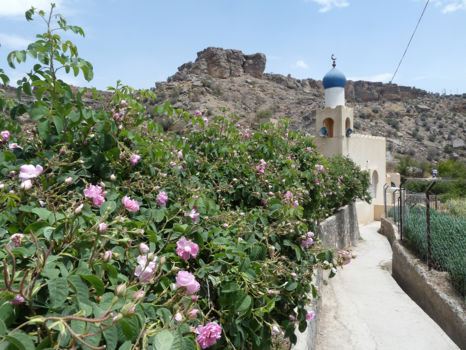 Jebel Akhdar