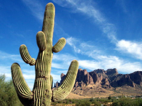 Rondreis Noordwest-Mexico