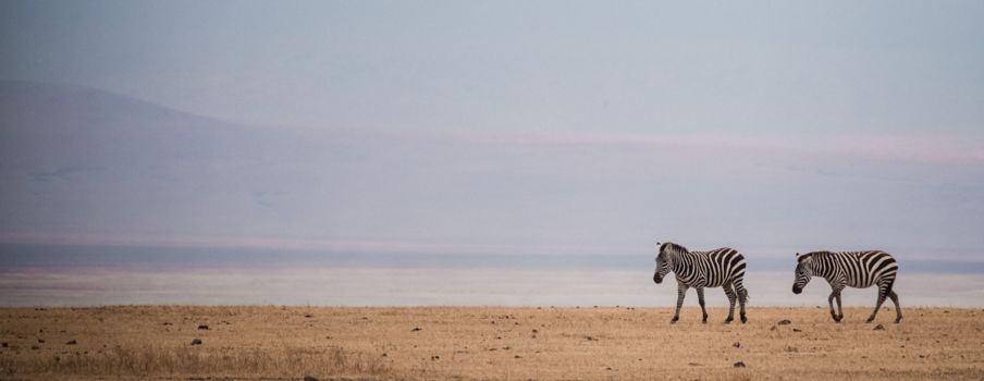 Rondreis Kenia en Tanzania