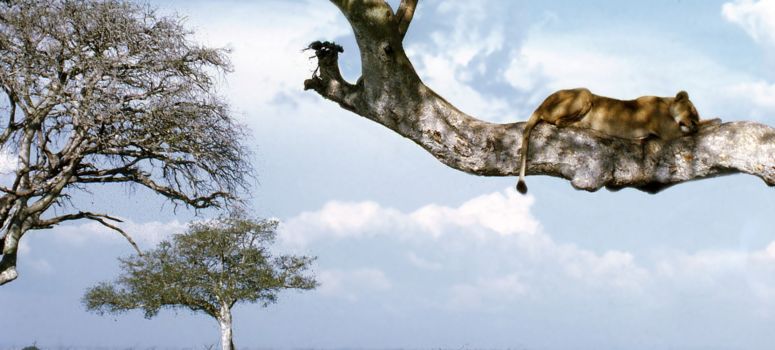 Uganda National Museum