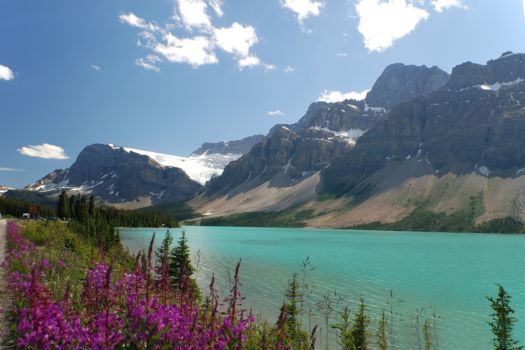 Lake Peyto
