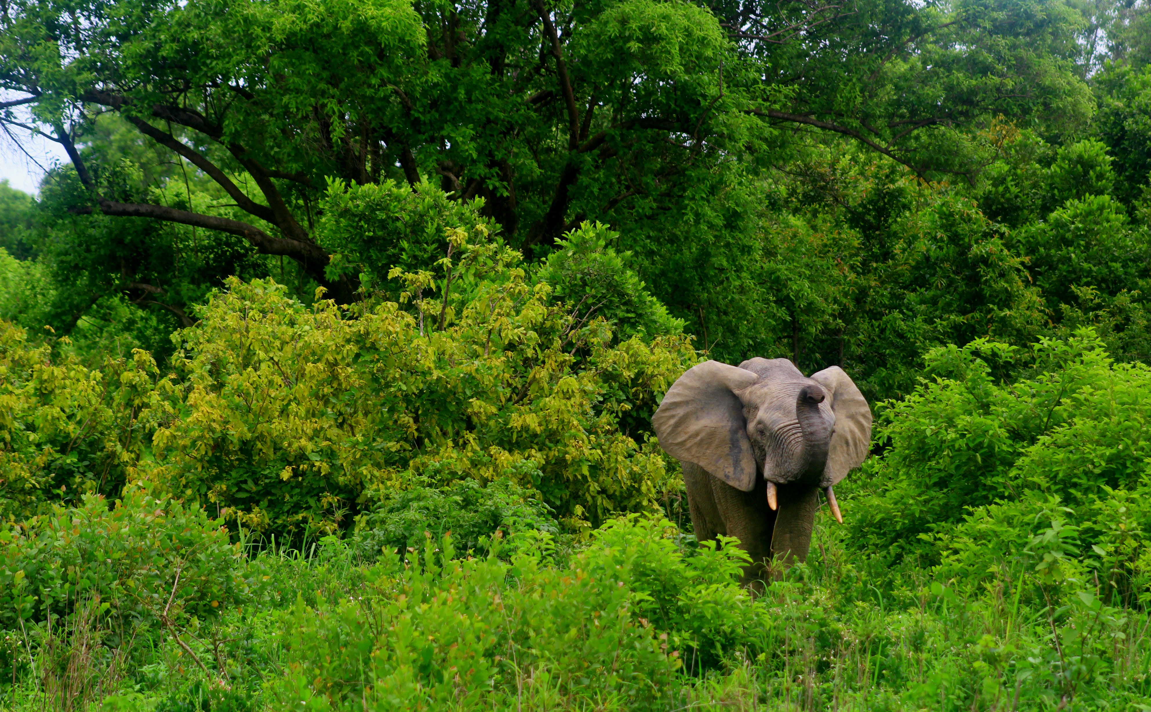 top-5-meest-bijzondere-natuurgebieden-in-ghana-afrika-nl