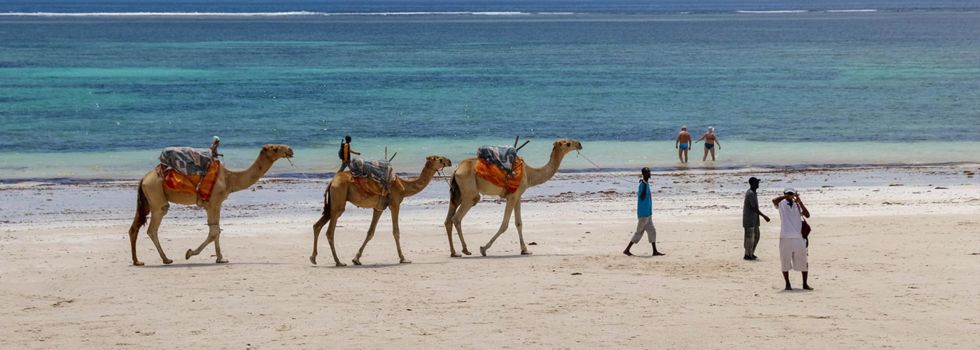 Diani beach