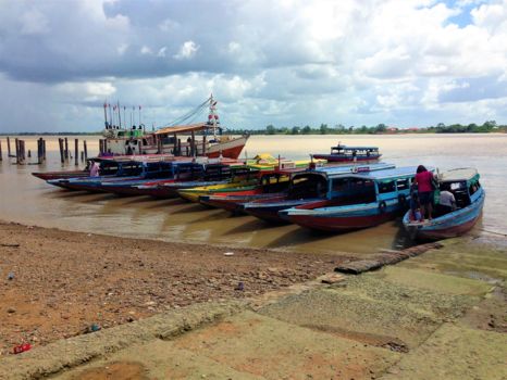 Rondreis Suriname in één week