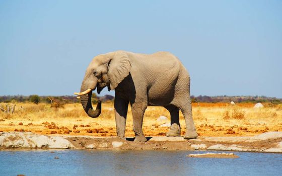 Camperroute Zuidelijk Afrika