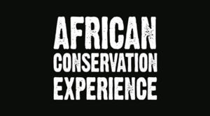 African Conservation Experience