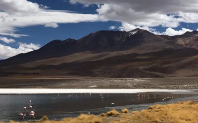 Rondreis Peru, Bolivia en Chili